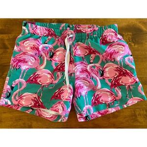 Chubbies Mens Swim Trunks Medium Teal Pink Flamingo Print Mesh Lined Shorts